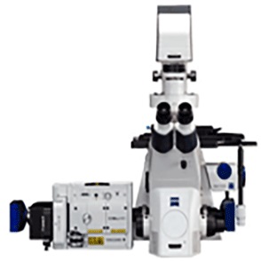 细胞显微镜图片